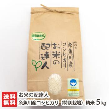 特別栽培米（減農薬・減化学肥料）新潟 コシヒカリ 精米5kg お米の配達人 送料無料