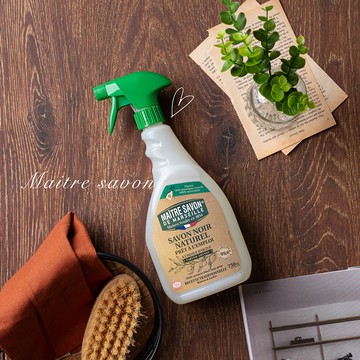 法國 Maitresavon 玫翠思黑肥皂強效家用去汙噴霧 750ML - 去污噴霧單入