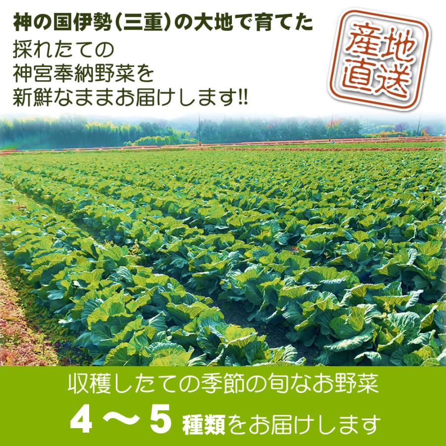 訳あり野菜 規格外野菜 とれたて新鮮 旬の 野菜セット 野菜詰め合わせ 4〜5種 ふぞろい 大きさお任せ 協生農法 有機野菜 入り 三重県 伊勢産 産地直送 送料無料