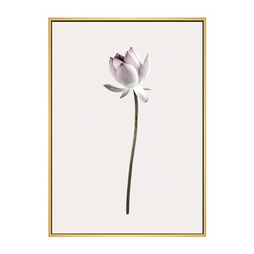 初開綻放 蓮花藝術掛畫  40 x 30cm  木色