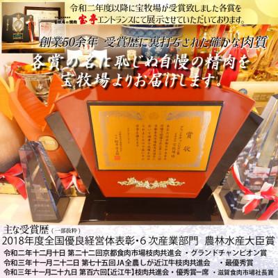 ふるさと納税 高島市 宝牧場　近江牛シャトーブリアンブロック1kg