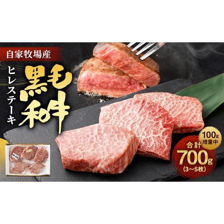 ふるさと納税 数量限定 増量！！ 自家牧場産 黒毛和牛 ヒレステーキ