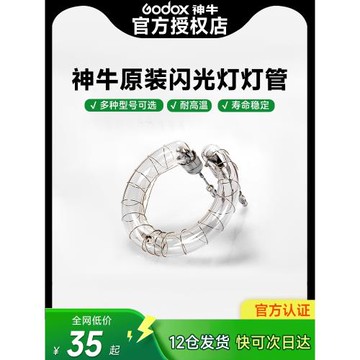 Godox神牛閃光燈管160W/200W/250W/SK400/SP400/600W/800W/1200W影棚