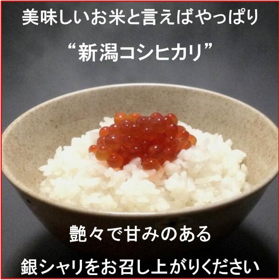 令和5年産新米　減農薬　新潟こしひかり白米2kg 新潟県三条市旧しただ村産　新潟県認証　特別栽培米100%　偽装も混ぜ米も無し　白雪美人　グルテンフリー