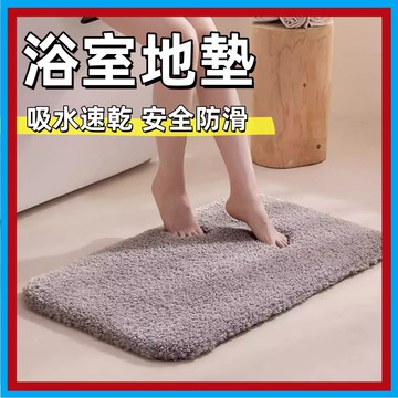 珊瑚絨地墊🍊仿羊絨地毯 絨毛地墊 厚地毯 加厚地毯 地墊 地毯 地毯地墊 浴室 吸水地毯 防滑地毯 止滑地毯 台灣出貨