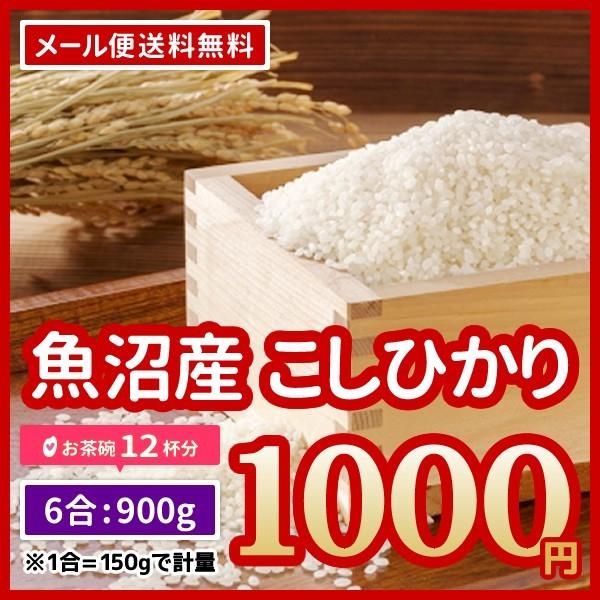 米 送料無料 ポイント消化 お米 極上米 魚沼産 コシヒカリ 900g （450g×2） お試し 1000円ポッキリ　令和5年産 ※メール便のため日時指定・代引不可