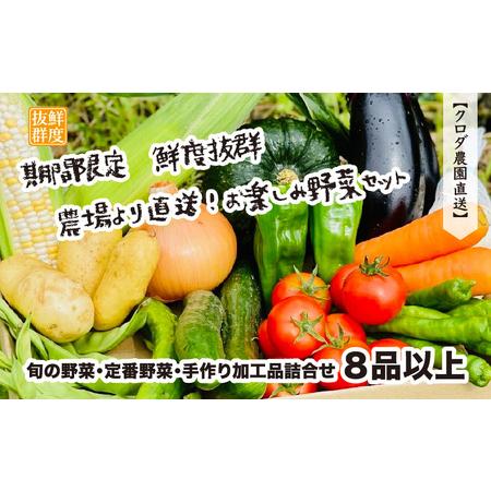 ふるさと納税 期間限定 鮮度抜群 農場より直送！お楽しみ野菜セット 旬の野菜・定番野菜・手作り加工品詰合せ8品以上 【2024年7月よ.. 福井県越前町