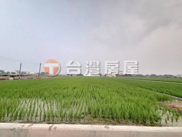 埤頭彰水路旁大塊方正美田｜彰化縣埤頭鄉大湖段