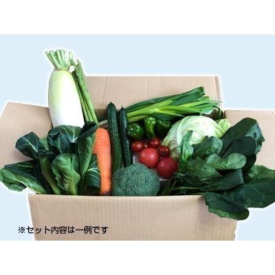 西会津ミネラル野菜セット（小）3回（8〜10品目）2名様1週間分相当