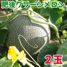 先行受付　肥後グリーンメロン　2玉(1玉約2kg)(玉名市)