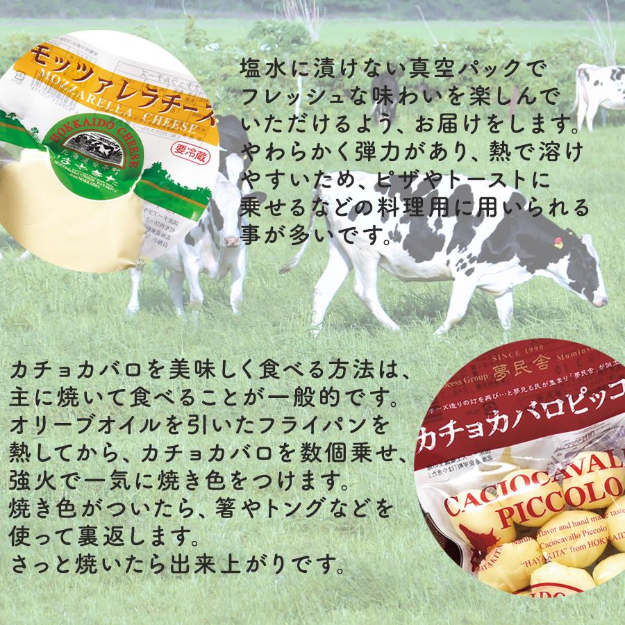 本日クーポンで10％OFF チーズ詰め合わせ はやきたチーズ ギフト 5種 食べ比べセット 夢民舎 早来チーズ 北海道産生乳使用 送料無料
