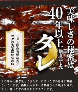 G6157_大型サイズ ふっくら柔らか 国産うなぎ 蒲焼き 3尾 (約6人前) 化粧箱入