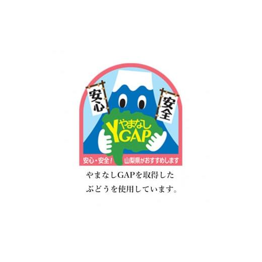 ふるさと納税 山梨県 笛吹市 ＜2024年先行予約＞ハウスシャインマスカット　2房1.0kg以上 098-009