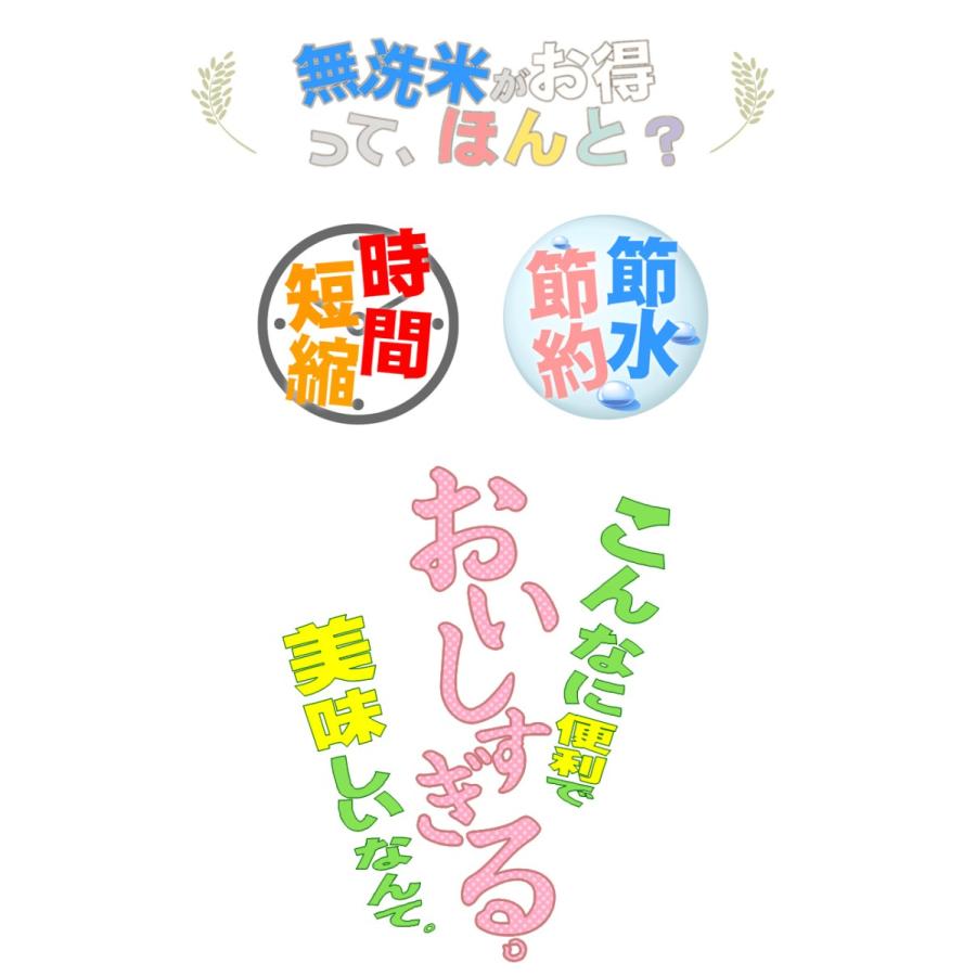 令和５年産新米 送料無料 5kg 九州 宮崎県産「コシヒカリ」5kg×1個 無洗米