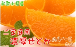 和歌山の濃厚せとか　約4～5kg　（ご家庭用訳あり）※2024年2月下旬～3月下旬頃に順次発送予定※沖縄地域へのお届け不可