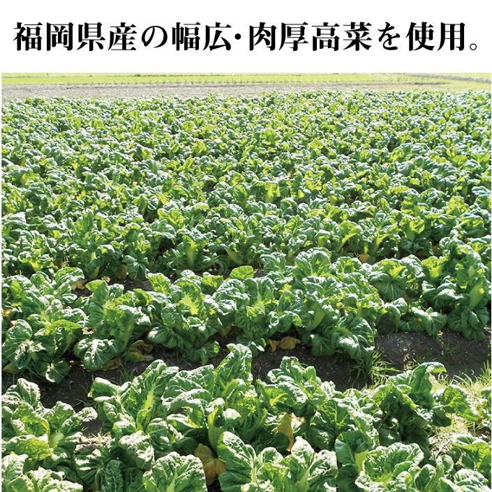 送料無料！イヌイの福岡県産辛子高菜「漬物語り」小辛・中辛・激辛の3袋が 入ったお得なお試しセット 160g×3袋セット（お一人様1回の注文1個限定）