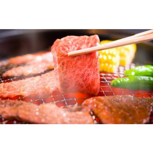 ふるさと納税 岐阜県 下呂市 本日の希少部位・ランプ焼肉セット  各450g  ブランド牛 牛肉 国産 下呂温泉