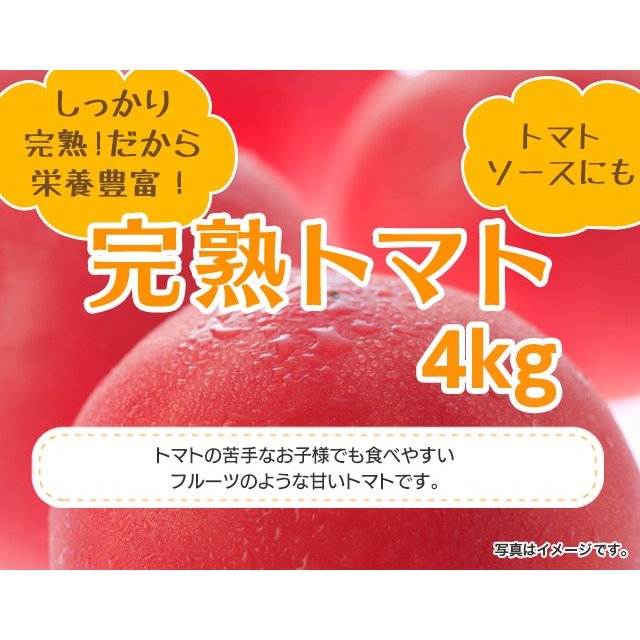 九州産完熟トマト 約４ｋｇ