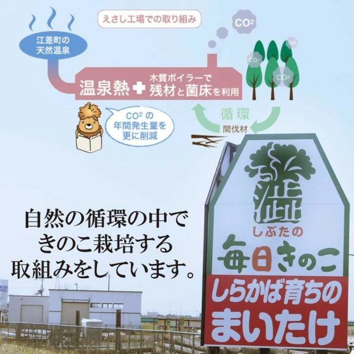 舞茸 えぞ まいたけ・生しいたけ 詰め合わせセット 北海道産 送料無料 国産 きのこ マイタケ キノコ  シイタケ 椎茸 北海道 野菜 お取り寄せ 無農薬野菜