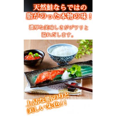 ふるさと納税 和歌山市 和歌山魚鶴仕込の天然紅サケ切身約1kg