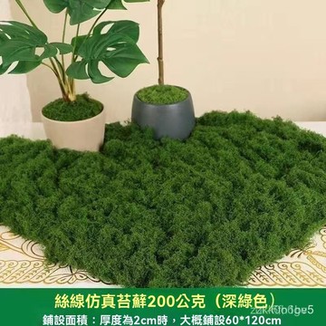 好價在🛒仿真苔蘚草皮盆栽造景花盆鋪麵草 青苔蘚草皮綠植墻 盆景草坪 綠植場景櫥窗假苔蘚青苔diy人造苔蘚  WFUA