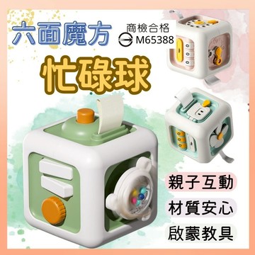 《商檢合格》忙碌球 寶寶玩具 早教魔方  嬰兒玩具 忙碌塊 玩具 手抓球 蒙特梭利 訓練抓握玩具 益智玩具 教具 昆蟲版
