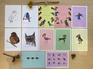 手繪 鳥類 明信片 12件組
