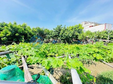 小港坪鳳段稀有 大坪數建地投資首選｜高雄市小港區坪鳳段