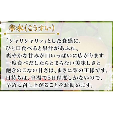 ふるさと納税 茨城県産「幸水梨」約5kg 茨城県下妻市