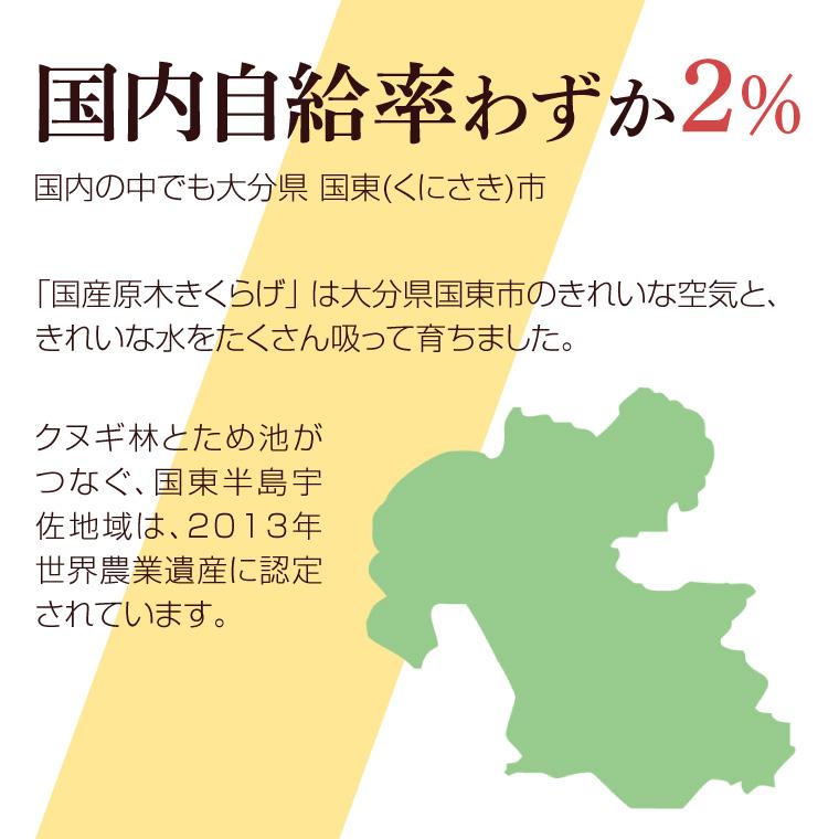 きくらげ スライス 50g 原木栽培 自然栽培 国産 無農薬 乾燥きくらげ キクラゲ 乾燥きのこ