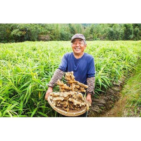 ふるさと納税 高知県産生姜2kg 高知県香美市