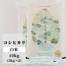 あわくら源流米「コシヒカリ」白米10kg全6回