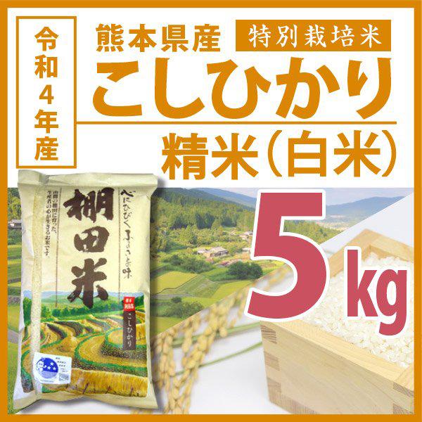 棚田米 令和5年産 熊本県こしひかり精米 5kg