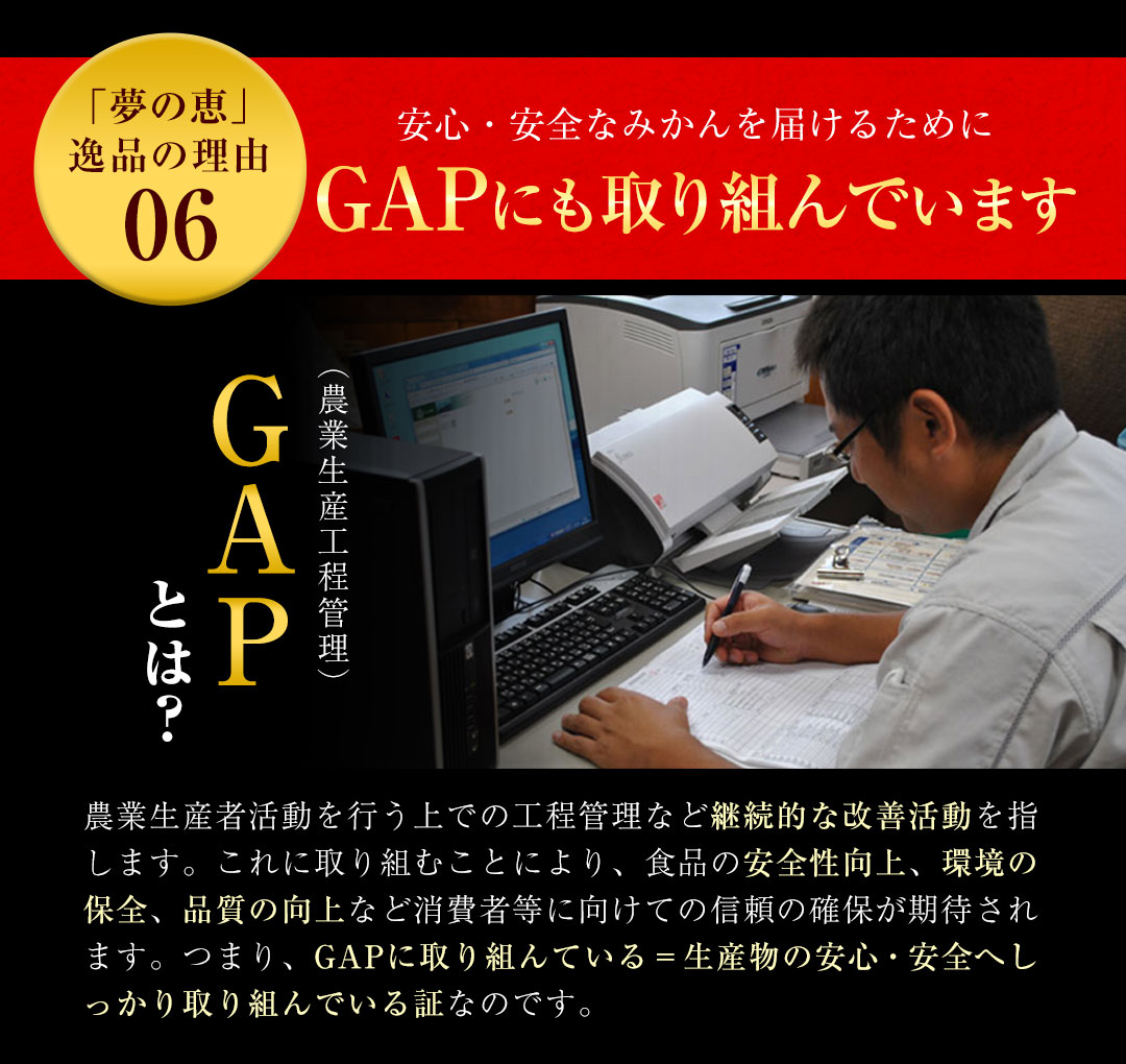 夢の恵 みかん 2.5kg前後(20玉〜30玉前後) 糖度12度以上 ブランド みかん ブランド 贈答用 糖度 12度 以上 熨斗 7-14営業日以内に発送予定(土日祝日除く)