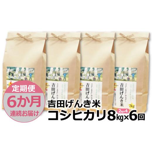 ふるさと納税 島根県 雲南市 「吉田げんき米」コシヒカリ8kg（2kg×4）【島根県産 雲南市産 ブランド米 米 お米 白米 コメ こめ お…