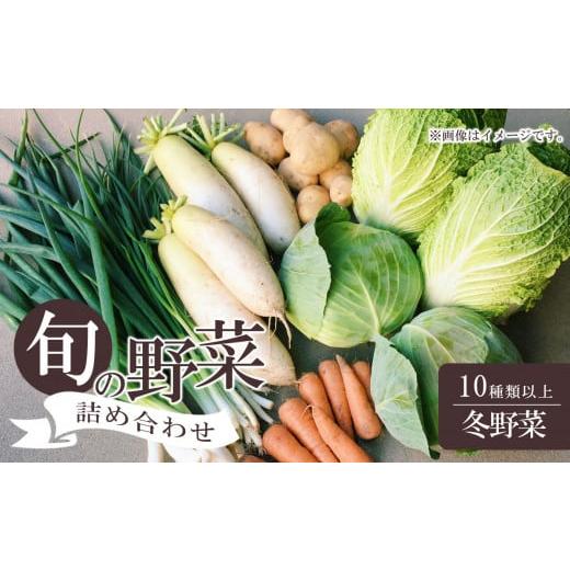 ふるさと納税 山口県 美祢市 美祢市産 冬野菜の詰め合わせセット