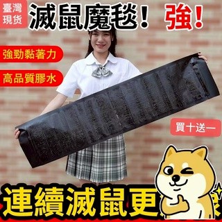 滅鼠特長魔毯【臺灣現貨】買十送一  進口膠水 粘鼠貼 滅鼠 黏鼠闆 老鼠闆  捕老鼠 老鼠闆  抓老鼠 老鼠貼 老鼠神器