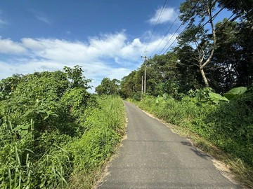 台南市玉井區玄天段農地｜台南市玉井區玄天段