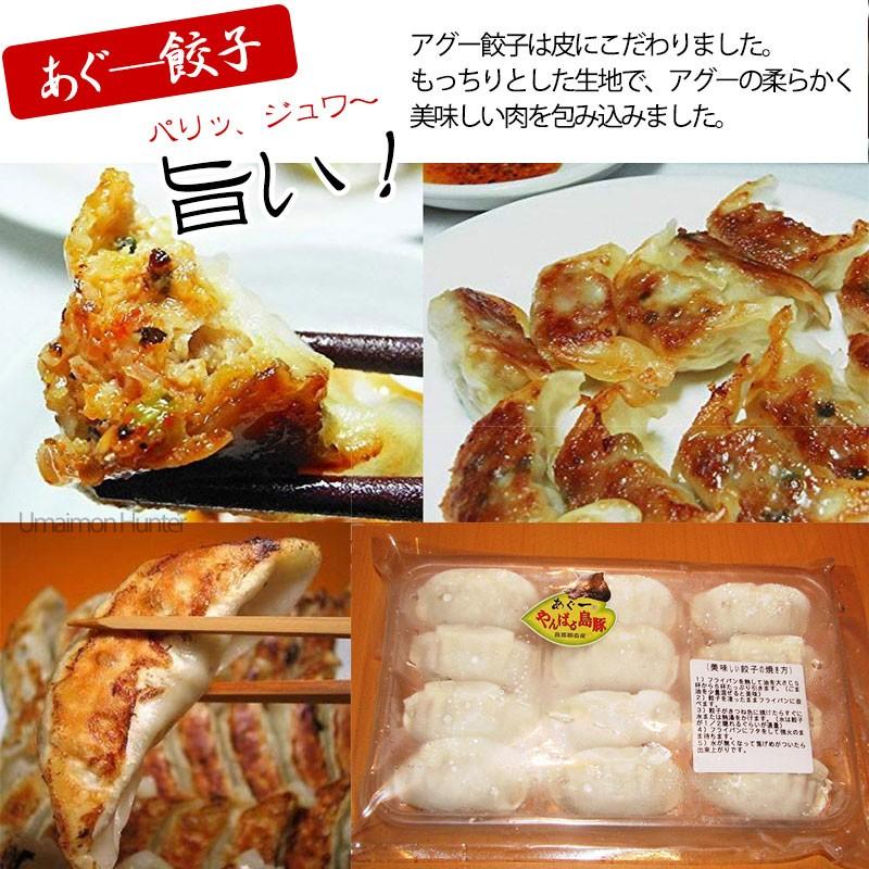 ギフト ギフト やんばる島豚あぐー 黒豚 ギョウザ 240g×5P フレッシュミートがなは 沖縄 土産 人気 アグー 豚肉 ジューシー 餃子