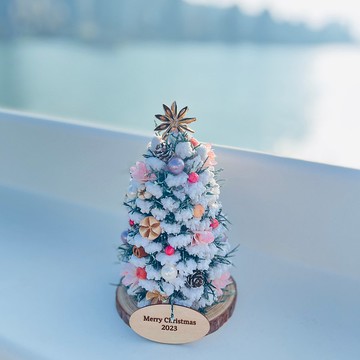 限定深雪版松果聖誕樹 永生鹿角松 送燈帶 客製化刻字小木牌