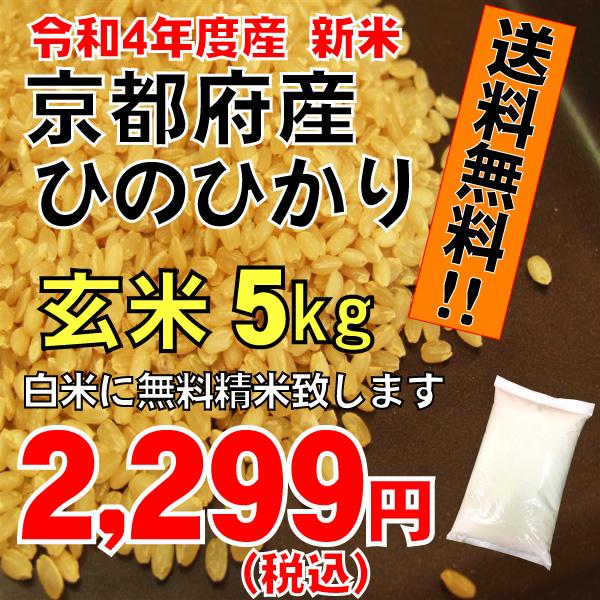 玄米　京都府産　ひのひかり5ｋｇ　2023年産　お米　ヒノヒカリ　送料無料（白米精米は約4,5kg）　令和5年度産