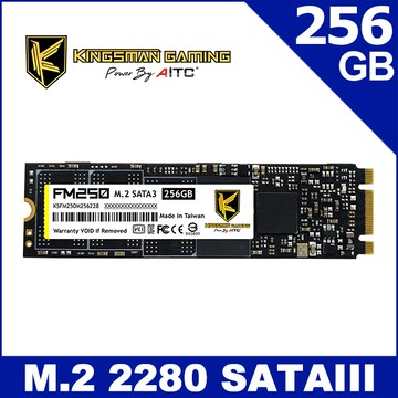 AITC 艾格 FM250 SSD 256GB M.2 2280 SATAIII 固態硬碟