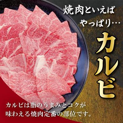 ふるさと納税 明和町 松阪牛 焼肉 (カルビ) 800g　SS19