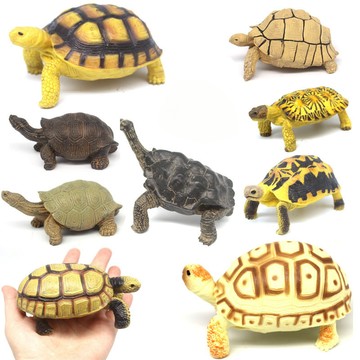 🌈實心pvc仿真龜模型玩具烏龜鱷龜甲魚海龜巴西龜象龜水龜草龜水族造景擺設