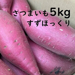 BS-18  さつまいも　すずほっくり　5kg