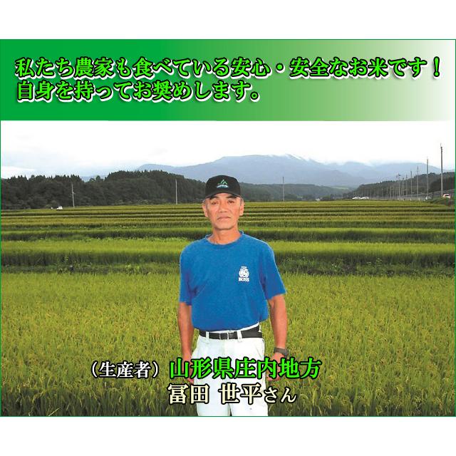 新米 お米 ひとめぼれ 白米 10kg 山形県庄内産 分づき可 一等米 5kg×2袋 送料無料 令和5年産