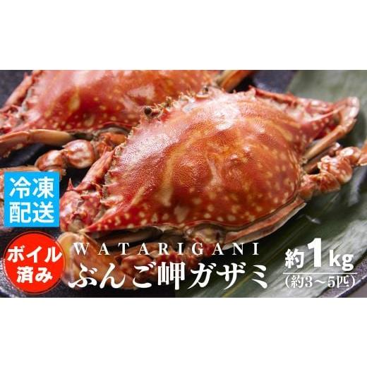 ふるさと納税 大分県 豊後高田市  ぶんご岬ガザミ （蒸し） 約1kg 養殖 ワタリガニ ※雌雄無選別 冷凍配送 直送 カニ 蟹