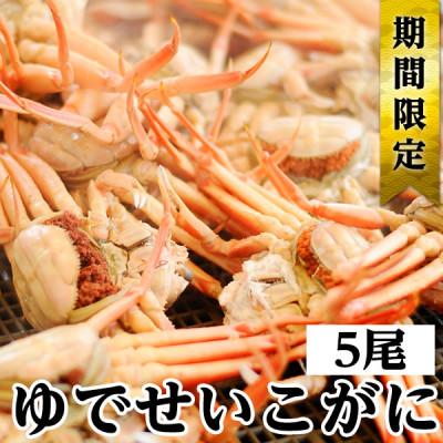 ふるさと納税 若狭町 冬の味覚　茹でセイコガニ　5ハイ