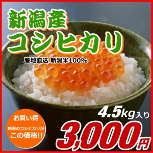 コシヒカリ 3000円分（4.5キロ） 新米 新潟米 お米 新潟産 産地直送 米 コメ お歳暮 自宅用 ギフト 贈答 贈り物