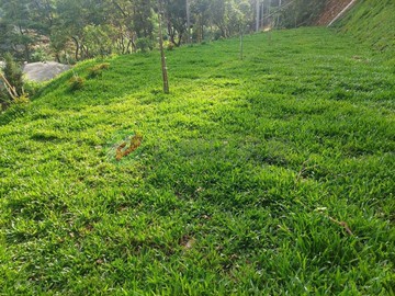 龜山休閒農地｜桃園市龜山區大坑